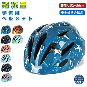LbYwbg 52`56cm S ] ʋCQ AEghA CPSCKiii y TCY q w qp Ռz