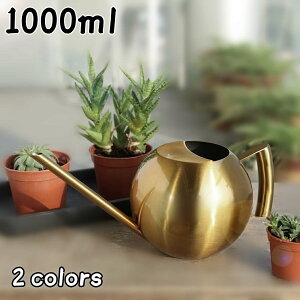 1L ~jW[  Vv 1000ml   AeB[N k XeX  W[ uY 1bg