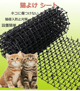 V[g L悯ObY L悯V[g ǔL΍ L悯 ˂悯 LV[gƂ}bg L悯΍ Qb?LNh~΍ L悯
