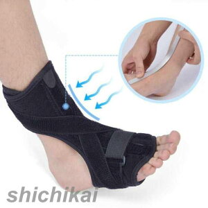 ֐ߌŒ T|[^[ ̍bɂ݌y Lkxg  ؖ یObY T|[^[ Ep t[TCY 