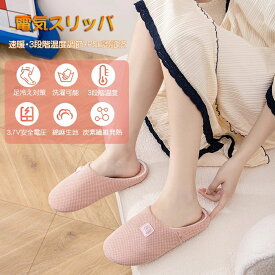 スリッパ 電熱 電気 ルームシューズ コードレス すりっぱ 室内