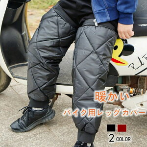 ۉ O bOJo[ oCNpbOJo[ bOEH[}[ GT|[^[ GveN^[ N h΍ h t[X