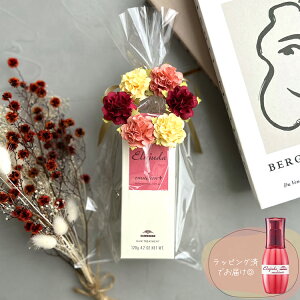 yő500~offcp11/3zyt[bsOρzmilbon ~{ GW[_ G}W+ vX 120g MtgZbg RX ϕi wAPA tOX 􂢗Ȃ g[gg 