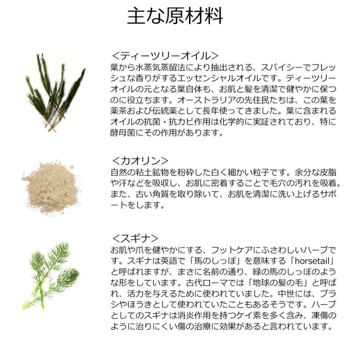 楽天市場 ラッシュ フットパウダー パパの足 65g パウダー フットケア 足の臭い コンプレックス エチケット デオドラント 制汗剤 消臭 Lush ブランド メンズ レディース 正規品 新品 ギフト プレゼント素足のtブレイク 22 S クリスマス ブランドショップ ラッシュ