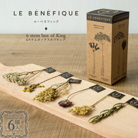 ルベネフィック フランソワ プルミエ ハーブティー 6種入り 茶 オーガニック 植物由来 セット お試し LE BENEFIQUE メンズ レディース ブランド 正規品 新品 ギフト プレゼント