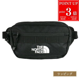 【P3倍★1025-1026】THE NORTH FACE ザ ノースフェイス ボディバッグ ウエストポーチ スリングバッグ 斜め掛け 肩掛け ショルダーバッグ アウトドア ナイロン ロゴ シンプル TNF メンズ ブランド 正