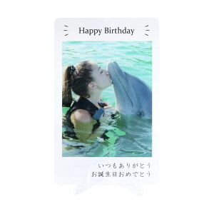 yő500~offcp11/3zbZ[WJ[h AN a l LO j EFJ{[h O[eBOJ[h zCgf[f[ zCgf[   Mtg zC