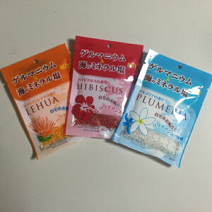 yzy|CgɁẑCŃnCAXp̌L@Q}jEECECGLXz̓!! `HIBISCUSLEHUAPLUMERIA` tACƉΎŘbݓ (nCrX