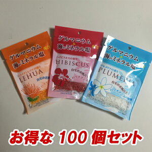 y**100Zbg**ẑCŃnCAXp̌L@Q}jEECECGLXz̓!! `HIBISCUSLEHUAPLUMERIA` tACƉΎŘbݓ 100 (nCr
