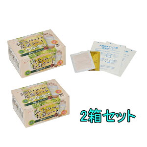 y2Zbgz 30x2@v60 30 ԃp[ŃXbLtbV̔ނ݂ɑɓ\ĐQ邾!! WXp[ztV[g/NV[