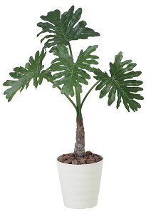 yzy|Cg10{zsA[gO[tslHϗtAtG}@̊y@Z[1.0