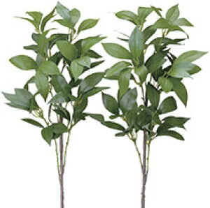 y|Cg10{zsA[gt[tsԁtG}@̊y@VL~2{Zbg