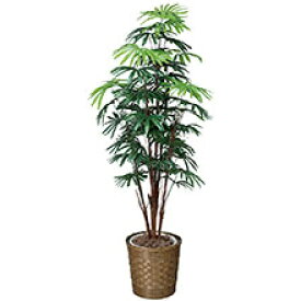 楽天市場 暖房 種類 植物 シュロチク 造花 造花 人工観葉植物 花 観葉植物 花 ガーデン Diyの通販 楽天市場 暖房 種類 植物 シュロチク 造花 造花 人工観葉植物 花 観葉植物 花 ガーデン Diyの通販
