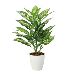 A[gO[ lHϗtA G} ̊y fBtFoLAM