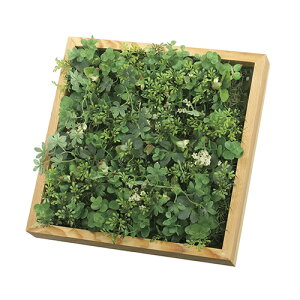 A[gO[@lHϗtA@G}@̊y@Ǌ|Ebh{bNX