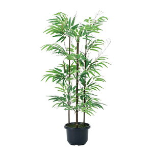 A[gO[ lHϗtA G}@̊y@|1.0  VR|