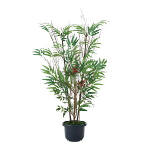 A[gO[@lHϗtA@G}@̊y@|V1.0