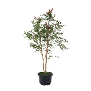 A[gO[ lHϗtA G} ̊y V1.0