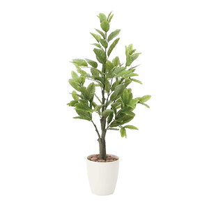 A[gO[ lHϗtA G} ̊y 1.0