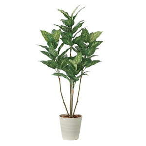 A[gO[ lHϗtA G} ̊y fBtFoLA1.35