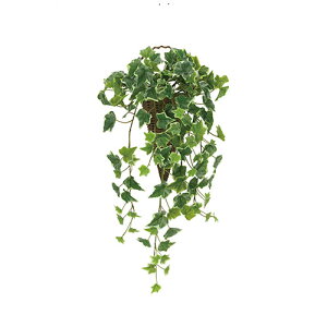 A[gO[ lHϗtA G} ̊y Ǌ|ACr[