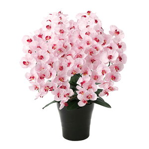 A[gO[ lHϗtA G} ̊y v~AӒ7{P