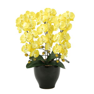 A[gO[ lHϗtA G} ӒZ[XY