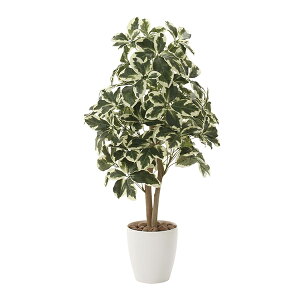 A[gO[@lHϗtA@G}@̊y@VFt90