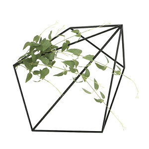 A[gO[ lHϗtA G}@̊y@ǖʗΉL\E