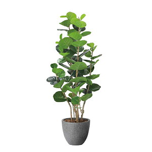 A[gO[ lHϗtA G} ̊y i`V[O[v1.6