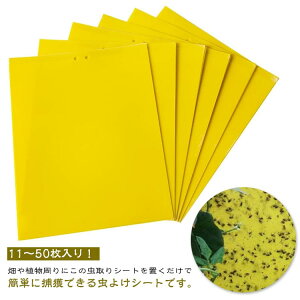 SV[g Qߊl V[g Q S}bg RoG c ObY Q΍pi Sgbv  ʔS ߒV[g  AU~E}  nG莆 S  ȒP