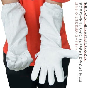 {Ip {Ip | I  n`΍ O hO[u rv {I {I {I Ɨp Ɨp ƃO[u {Ip 쏜 h h앞 h  Q쏜 op |