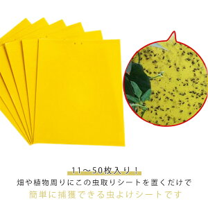  nG莆 悯 S}bg SV[g ʔS  y11`50z y11`50z Sgbv V[g  ObY Q΍pi AU~E}  Qߊl S 