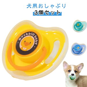 pԂ q ނ y3Zbgz V  VR pԂ Ԃ` 邨 ̂ Ԃ g[jOp XgX ^s