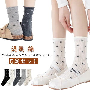 C  ʋC { \bNX RbgC   {  fB[X N[\bNX ʎY^ nn C  Pn [^ 킢 [t@[  \