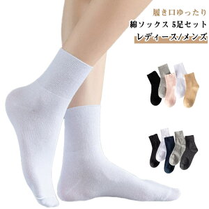 C fB[X \bNX Y fB[X\bNX  y5Zbgz S RbgC  y5Zbgz LC h  SȂ  n i pC