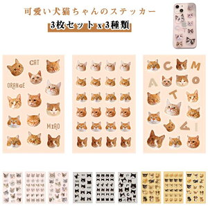 3Zbg  蒠 XebJ[ L L X}z 킢 L[P[X V[ V[ ① 3 J[XebJ[ fR[V ybg XebJ[ fR  XebJ[ ˂ lR  m[