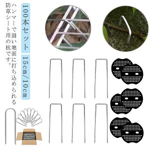 100{Zbg hV[g s UsY  Œs V[g 100{ h[ hV[g h[ Œp Œ lH s s 15cm 10cm 2.5mm |V[g hV[g