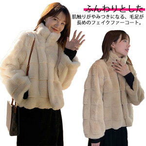   fB[X GRt@[ HD t@[R[g  WPbg ~ OJ t@Xi[ |Pbgt ӂӂ  h AE^[  i n JWA X^hJ