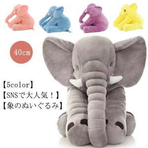 ʂ ]E   Aʂ q  oYj  ӂӂŖ c ۈ牀 LbY a Mtg 蕨 40cm