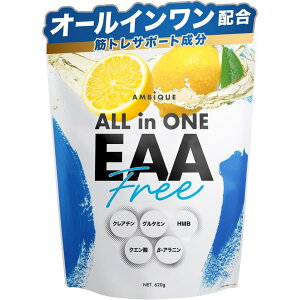 AMBiQUE �A���r�[�N �I�[���C������EAA 620g ������