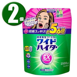 (2) ԉ ChnC^[ EXp[ ߗpY l֗p 2500ml e