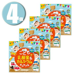 (4) j}bgP ǂ_ہJVE `Au 90 [Og h{⏕Hi