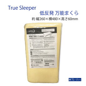 トゥルースリーパー 低反発 万能まくら FN005460 True Sleeper