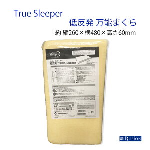 �g�D���[�X���[�p�[ �ᔽ�� ���\�܂��� True Sleeper