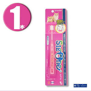 (1{)roebN VO LpuV f^PA L ˂ ybgpi