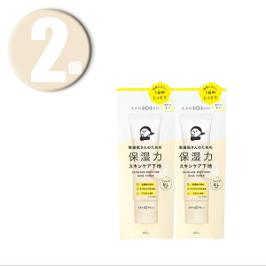 (2) BCL  ێ̓XLPAn Jo[^Cv 30g ×2 SPF40PA+++