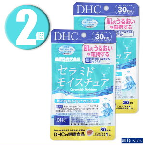 (2) DHC Tvg Z~h CX`A 30×2 @\\Hi fB[GC`V[