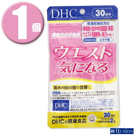 (1個)DHC サプリメント ウエスト気になる 30日分 60粒 機能性表示食品 ディーエイチシー 健康食品