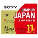 ソニー SONY ビデオ用ブルーレイディスク (11枚パック) 11BNE3VZPS2 (BE-RE 3層 2倍速 100GB)